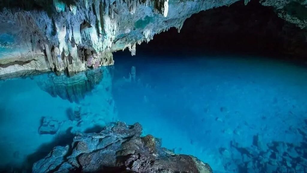 whatsapp image 2025 09 18 at 15.29.33 (1)