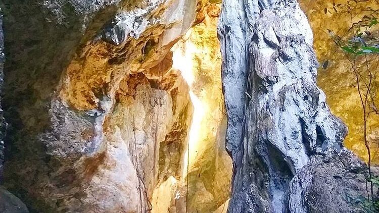 whatsapp image 2025 09 18 at 15.29.34