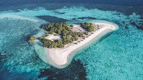 whatsapp image 2025 09 18 at 15.29.36 (2)