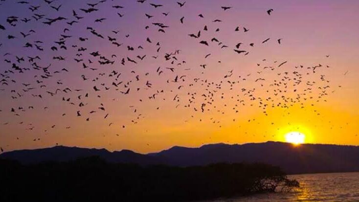 whatsapp image 2025 09 18 at 15.29.37 (1)