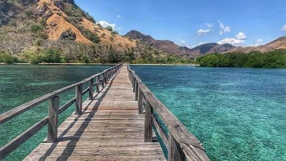 whatsapp image 2025 09 18 at 15.29.37