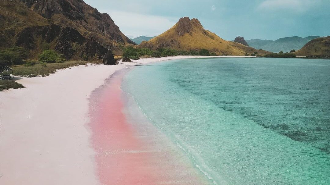 whatsapp image 2025 09 18 at 15.29.38