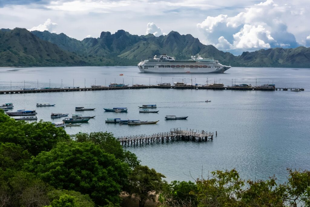 Large cruise ship anchored in a picturesque bay with lush green mountains, boats, and a pier.